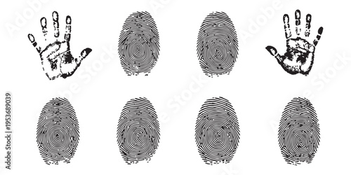 Collection of black ink fingerprints and human handprints for biometric identification and security concept vector illustration.