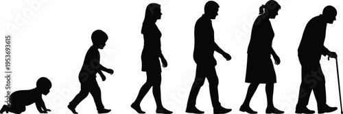 Evolution of human life stages from infancy to old age