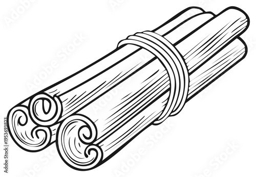 Sketch of rolled cinnamon sticks tied together fragrant spice ingredient for culinary use illustration