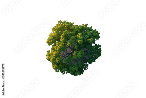 Green tree with full canopy viewed from above, providing a natural element for design projects, transparent background