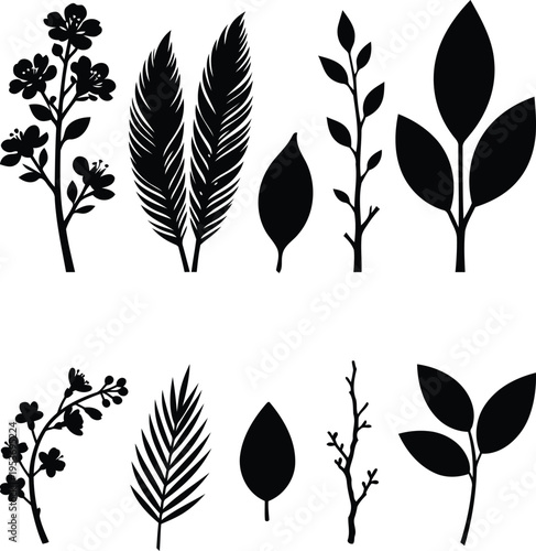 Collection of various leaf silhouettes on white background