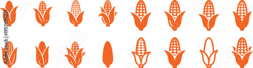 Variety of corn ears illustrations