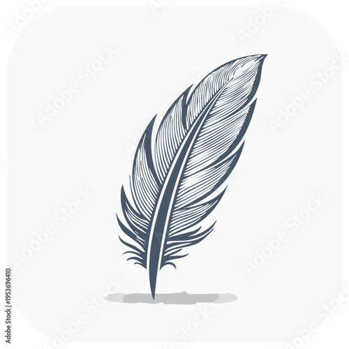 Detailed feather illustration, decorative artistic design