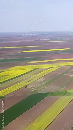 4K Vertical Aerial Patchwork Farmland Fields with Colorful Crops