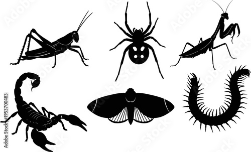 Black insect silhouette collection featuring detailed icons of a grasshopper, spider, praying mantis, scorpion, moth, and centipede isolated on a white background for graphic design.