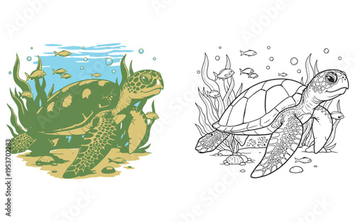 Underwater sea turtle coloring book pages for kids and adults ocean animal art