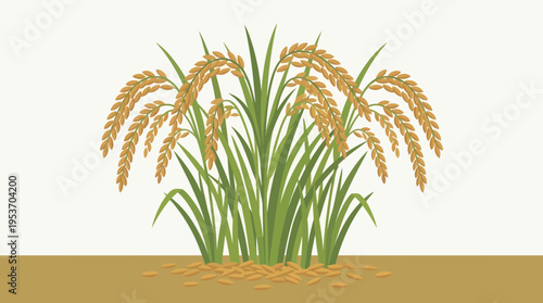 Illustration of a healthy rice plant with golden grains and scattered seeds on brown soil, depicting agriculture and harvest.