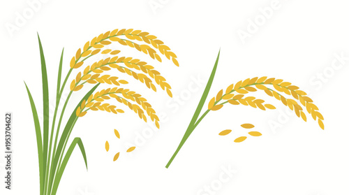 Golden rice stalks with green leaves and scattered grains, depicting a harvest or agricultural theme.