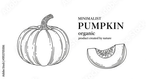 Minimalist Pumpkin Line Art Illustration with Organic Branding