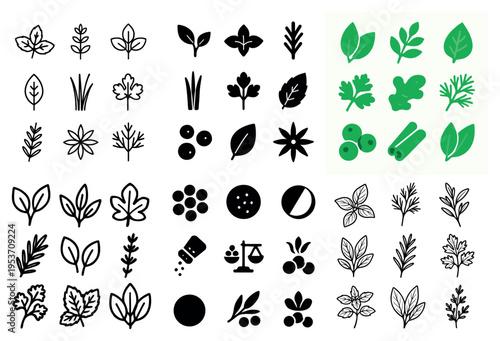 Botany icons with leaf branch herb minimal
