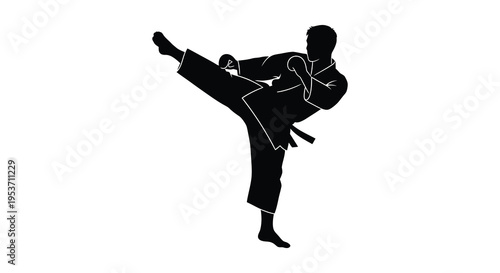 A dynamic black silhouette depicts a martial artist executing a high kick in a powerful athletic pose silhouette high quality professional