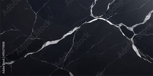 A black and white abstract background featuring a powerful electric lightning bolt striking through a dark night sky during a storm