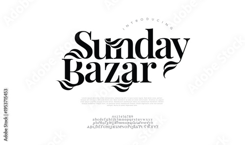 Elegant Fonts, Uppercase, Lowercase, and Numbers. Classic Letter Fashion Design. Typography, modern serif fonts, regular decorative vintage concepts. Vector illustrations, beauty.
