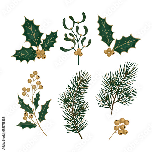 Vintage Christmas greenery collection, elegant holly leaves and mistletoe berries, pine branches and winter foliage set, botanical holiday eps