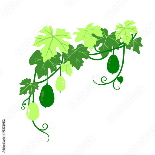 vector illustration of grapes