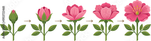 Professional Vegetable and Healthy Food Icon Set Featuring Fresh Carrots Broccoli Tomatoes Eggplants Peppers and Organic Produce Illustrations