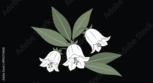An elegant, minimalist illustration of white bellflowers with muted green leaves, presented on a stark black background for contrast.
