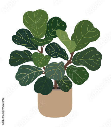 Fiddle leaf fig plant in minimalist vase. Deep green leaves with subtle vein texture. Brown stems support broad, rounded foliage. Ceramic pot adds earthy, modern aesthetic