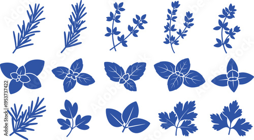 Collection of various blue botanical illustrations featuring flowers and leaves on a white background for design and artistic purposes