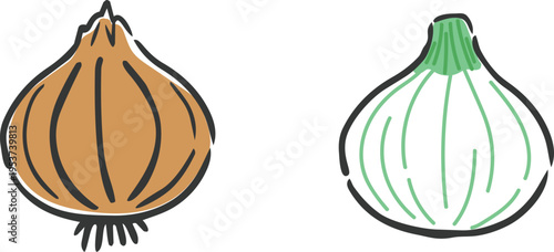 玉ねぎのイラスト　ベクター