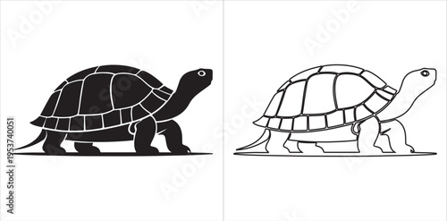 Stylized tortoise illustration in silhouette and outline versions with detailed shell segments and walking posture design