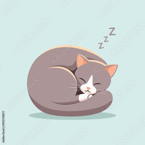 Adorable illustration of a curled-up, sleeping gray and white cat