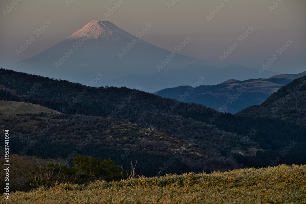 Fototapeta premium 伊豆から見る富士山