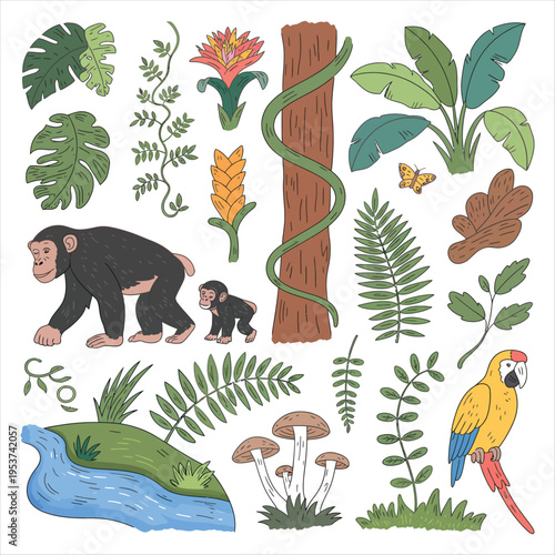 Jungle Elements with Chimpanzees and Macaw Keywords: jungle, forest, chimpanzee, monkey, baby