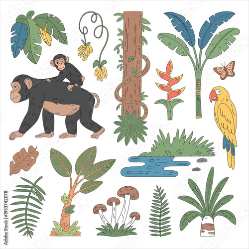 Chimpanzee with Baby on Back in Jungle Elements Keywords: jungle, forest, chimpanzee, monkey