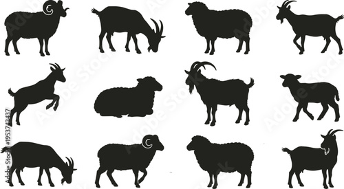 Professional Sheep and Goat Silhouette Set Featuring Ram Ewe and Billy Goat for Livestock Farming and Rural Agriculture Design Projects