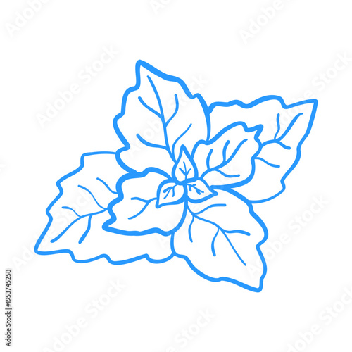 Line drawing of a bunch of mint leaves. Salad greens. Mediterranean linear vector clipart for design.
