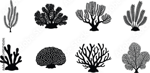 Set of marine coral reef vector silhouettes featuring various underwater sea plants, brain coral, staghorn, and aquatic branch shapes for ocean nature design and illustrations.