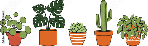 A collection of five different potted indoor house plants illustrated in a simple line art style Vector