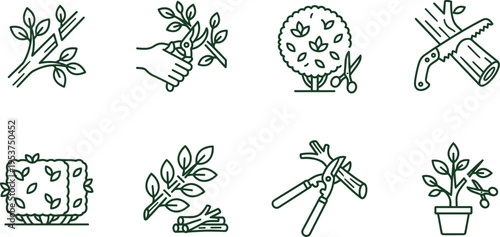 Professional Colorful Minimalist Flower Icon Set Featuring Flat Line Art Illustrations of Tulip Rose Sunflower Lavender Daisy and Diverse Botanical Blossoms