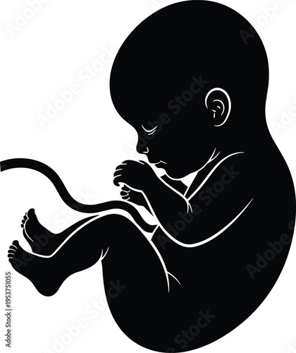Human fetus silhouette vector illustration design graphic, prenatal development medical educational art concept, black and white decorative creative collection