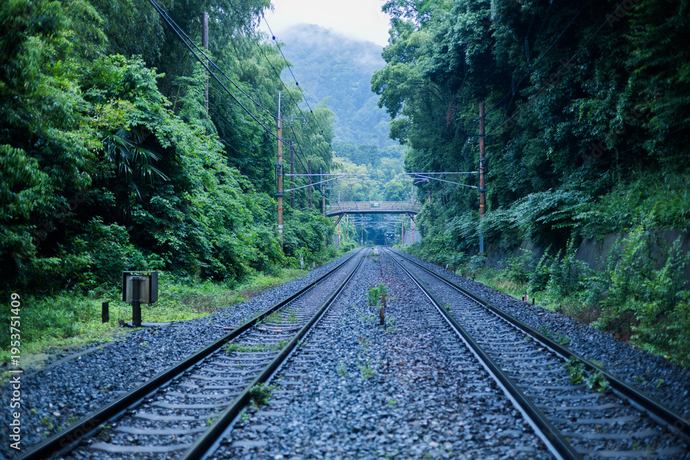 Fototapeta premium Straight railway track through lush green bamboo forest Japan