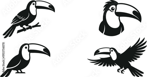Toucan Bird Vector Set | Tropical Exotic Animal Icon