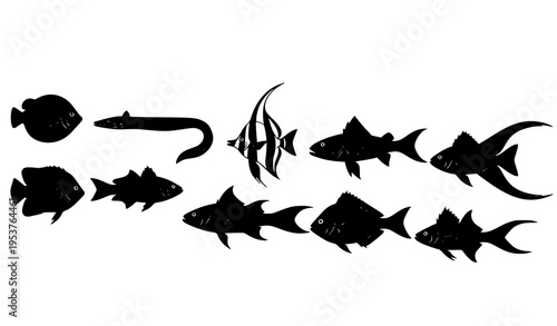 Black and white fish silhouette set vector with different aquatic animals collection isolated on white background