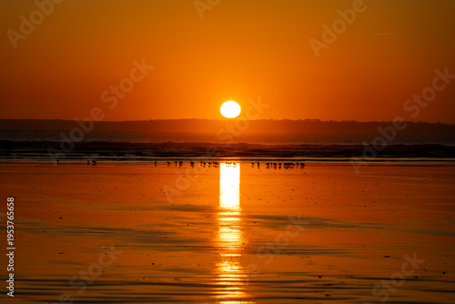Coucher de soleil sur la mer avec reflet doré sur le sable humide, silhouettes d’oiseaux au loin et horizon calme. Ambiance paisible sur la presqu’île de Crozon, Bretagne.