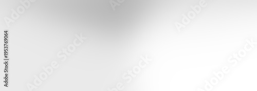 Quadro su tela Abstract light gray and white gradient background with subtle vertical illuminat