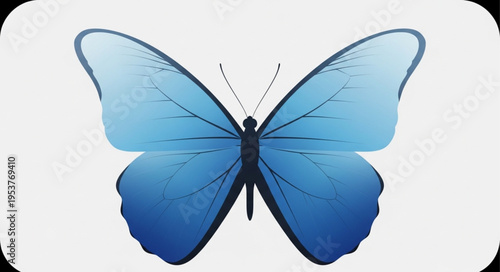 Elegant Blue Butterfly with Detailed Wing Patterns on a White Backdrop.