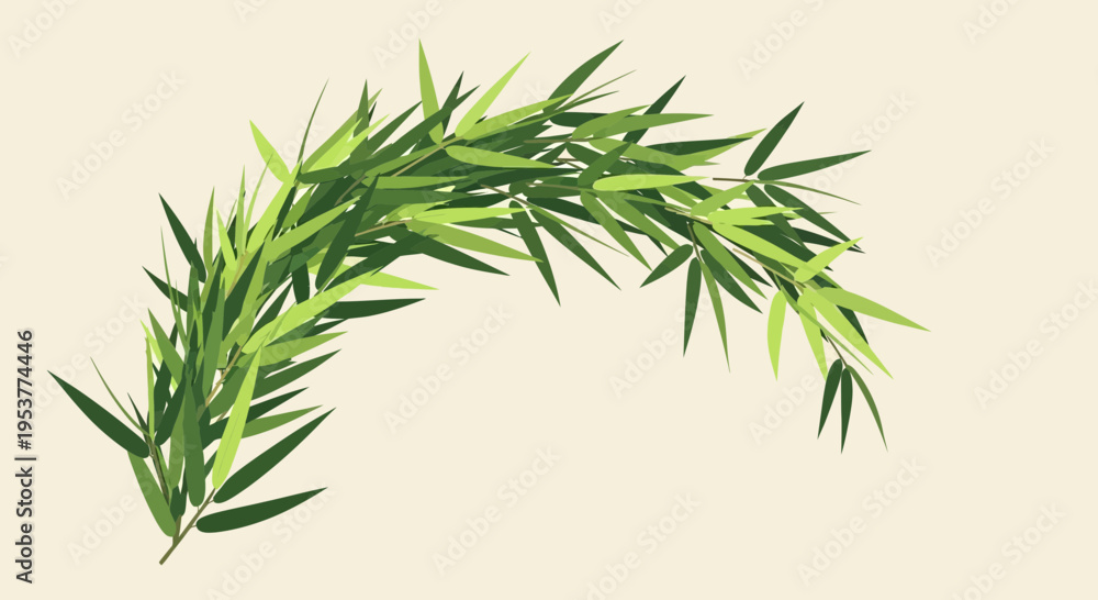 Obraz premium Green Bamboo Leaves Arching Gracefully on Light Background.