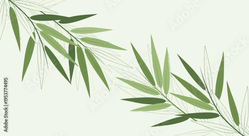 Green Bamboo Leaves on a Light Background.