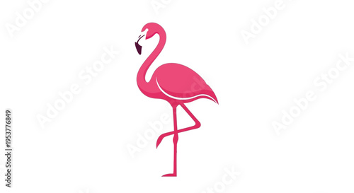 Elegant Illustration of a Pink Flamingo in a Minimalist Style on a White Background