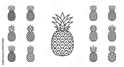 Pineapple Fruit Illustration in Black.