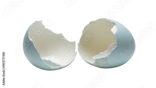 Foto Two broken blue-green eggshell halves, revealing delicate inner membrane, isolat