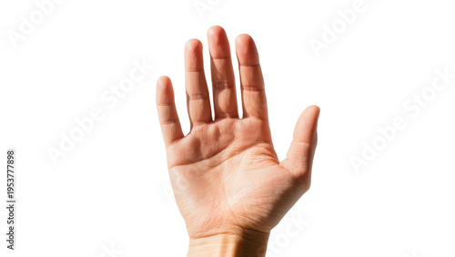 Human hand with palm facing forward and fingers slightly spread, isolated on transparent background, ready for graphic design projects PNG