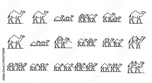 Black and white camel line drawings.