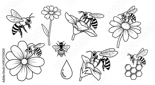 Black and white illustration of bees.
