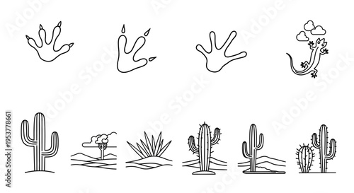 Cactus desert plants and animal tracks.